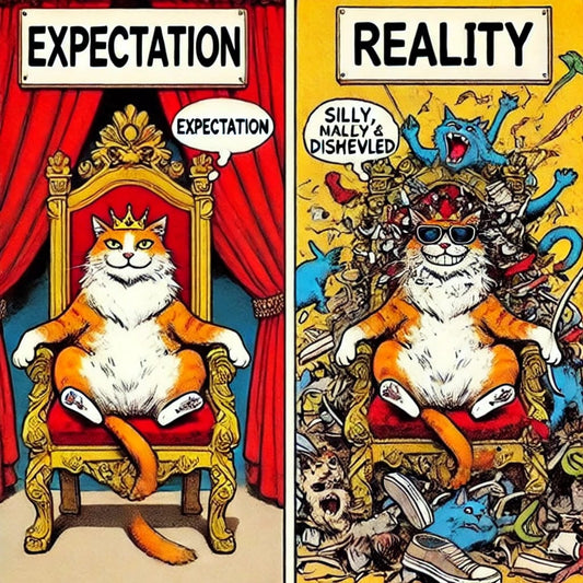 Expectation vs Reality